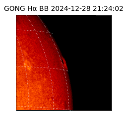 gong - 2024-12-28T21:24:02