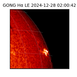 gong - 2024-12-28T02:00:42
