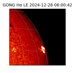 gong - 2024-12-28T06:00:42