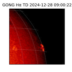 gong - 2024-12-28T09:00:22