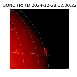 gong - 2024-12-28T12:00:22