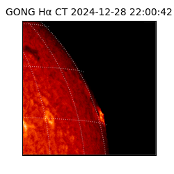 gong - 2024-12-28T22:00:42