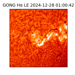 gong - 2024-12-28T01:00:42