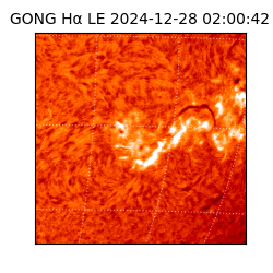 gong - 2024-12-28T02:00:42