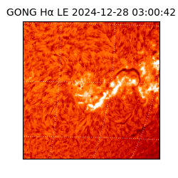 gong - 2024-12-28T03:00:42