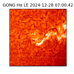 gong - 2024-12-28T07:00:42