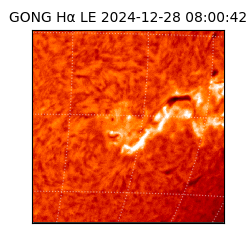 gong - 2024-12-28T08:00:42