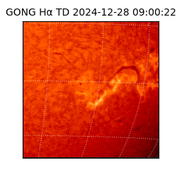 gong - 2024-12-28T09:00:22