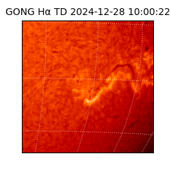 gong - 2024-12-28T10:00:22