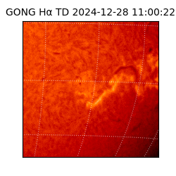 gong - 2024-12-28T11:00:22