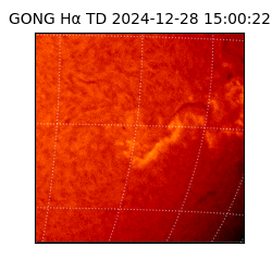 gong - 2024-12-28T15:00:22