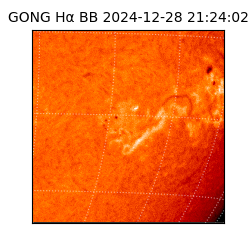 gong - 2024-12-28T21:24:02
