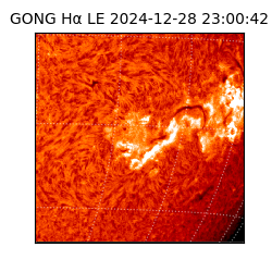 gong - 2024-12-28T23:00:42