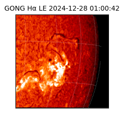 gong - 2024-12-28T01:00:42