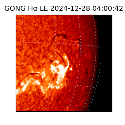gong - 2024-12-28T04:00:42