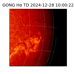 gong - 2024-12-28T10:00:22