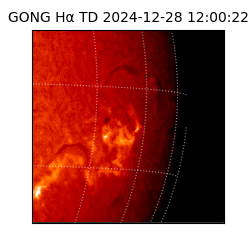 gong - 2024-12-28T12:00:22