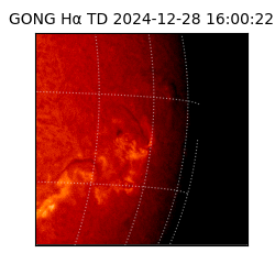 gong - 2024-12-28T16:00:22