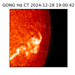 gong - 2024-12-28T19:00:42