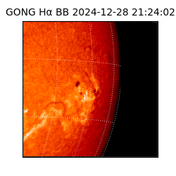 gong - 2024-12-28T21:24:02