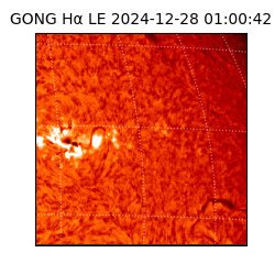 gong - 2024-12-28T01:00:42