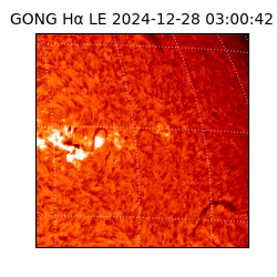 gong - 2024-12-28T03:00:42