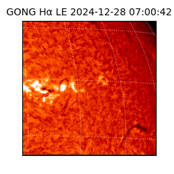 gong - 2024-12-28T07:00:42