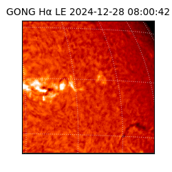 gong - 2024-12-28T08:00:42