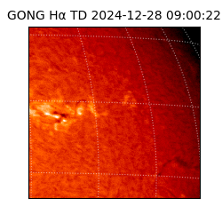 gong - 2024-12-28T09:00:22