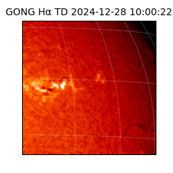 gong - 2024-12-28T10:00:22