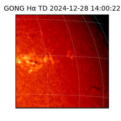 gong - 2024-12-28T14:00:22