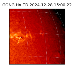 gong - 2024-12-28T15:00:22