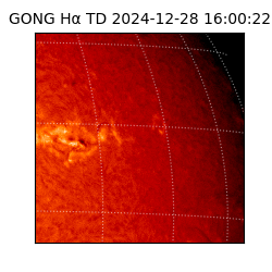 gong - 2024-12-28T16:00:22