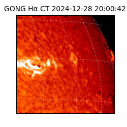 gong - 2024-12-28T20:00:42