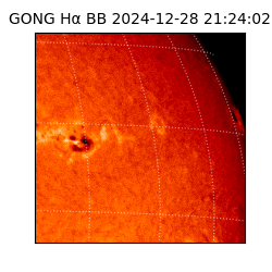 gong - 2024-12-28T21:24:02