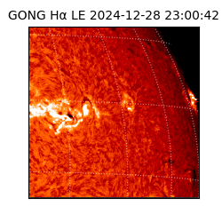 gong - 2024-12-28T23:00:42