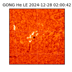 gong - 2024-12-28T02:00:42