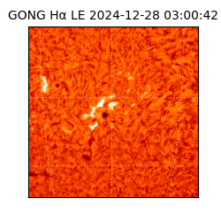 gong - 2024-12-28T03:00:42