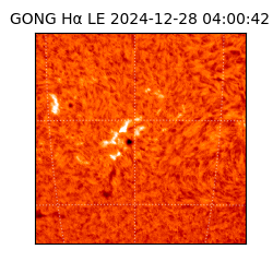 gong - 2024-12-28T04:00:42