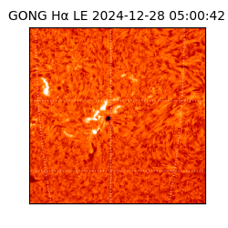 gong - 2024-12-28T05:00:42