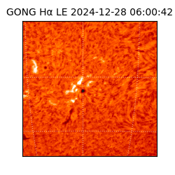 gong - 2024-12-28T06:00:42