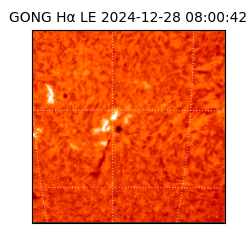 gong - 2024-12-28T08:00:42