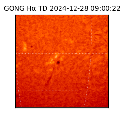 gong - 2024-12-28T09:00:22