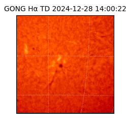 gong - 2024-12-28T14:00:22