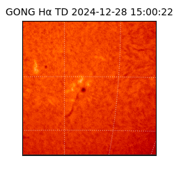 gong - 2024-12-28T15:00:22