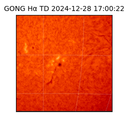 gong - 2024-12-28T17:00:22