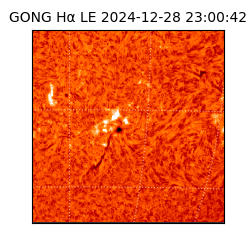 gong - 2024-12-28T23:00:42