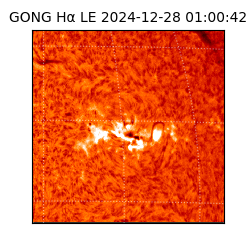 gong - 2024-12-28T01:00:42