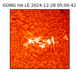 gong - 2024-12-28T05:00:42