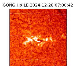 gong - 2024-12-28T07:00:42